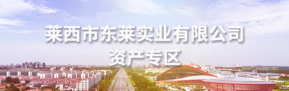 萊西市東萊實業(yè)有限公司資產(chǎn)專區(qū)